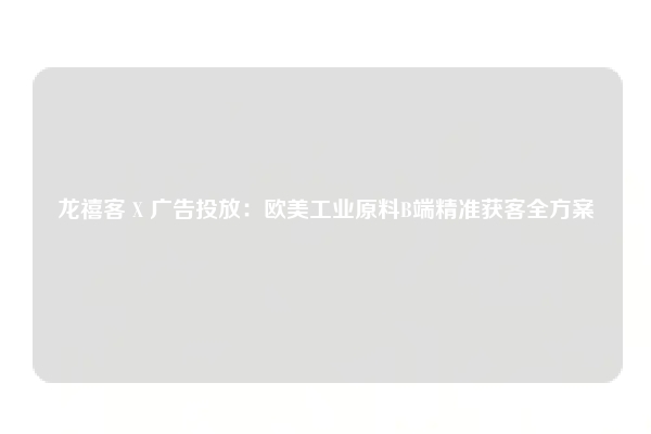 龙禧客 X 广告投放：欧美工业原料B端精准获客全方案
