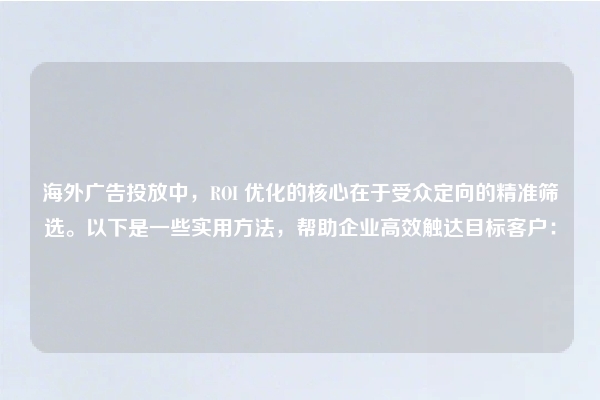 海外广告投放中，ROI 优化的核心在于受众定向的精准筛选。以下是一些实用方法，帮助企业高效触达目标客户：