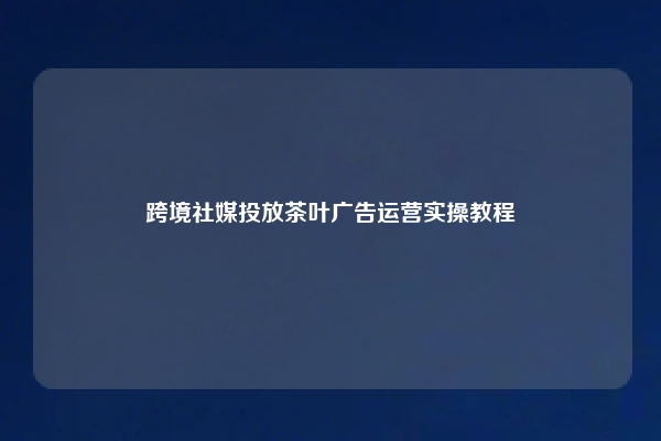 跨境社媒投放茶叶广告运营实操教程