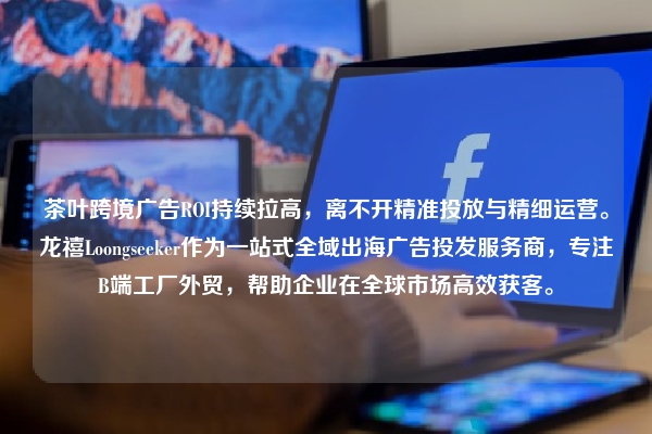 茶叶跨境广告ROI持续拉高，离不开精准投放与精细运营。龙禧Loongseeker作为一站式全域出海广告投发服务商，专注B端工厂外贸，帮助企业在全球市场高效获客。