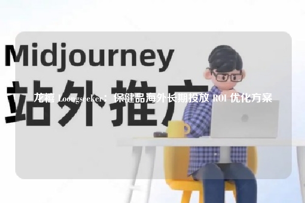 龙禧 Loongseeker：保健品海外长期投放 ROI 优化方案