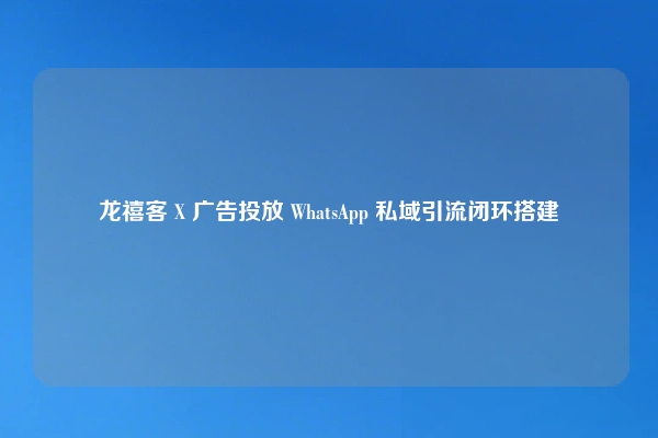 龙禧客 X 广告投放 WhatsApp 私域引流闭环搭建