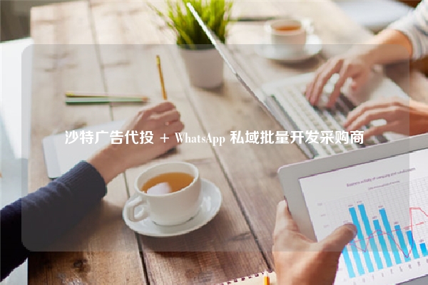沙特广告代投 + WhatsApp 私域批量开发采购商