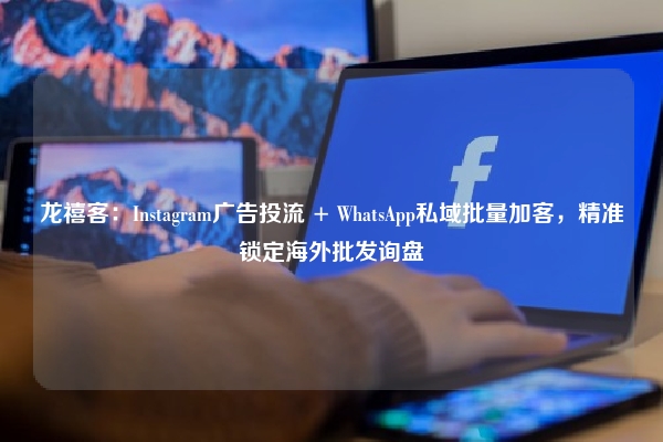 龙禧客：Instagram广告投流 + WhatsApp私域批量加客，精准锁定海外批发询盘