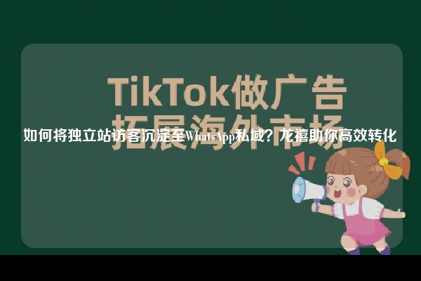 如何将独立站访客沉淀至WhatsApp私域？龙禧助你高效转化