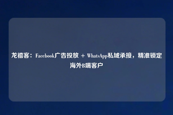 龙禧客：Facebook广告投放 + WhatsApp私域承接，精准锁定海外B端客户