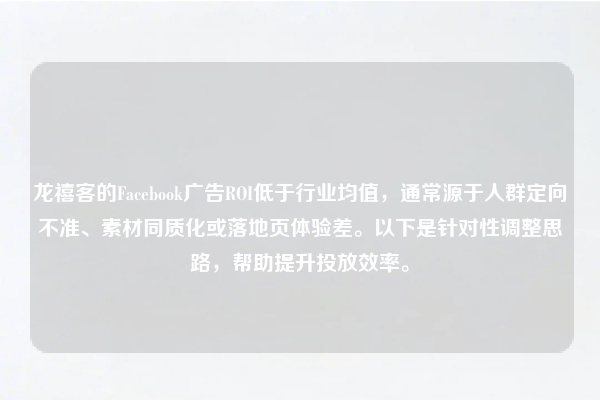 龙禧客的Facebook广告ROI低于行业均值，通常源于人群定向不准、素材同质化或落地页体验差。以下是针对性调整思路，帮助提升投放效率。