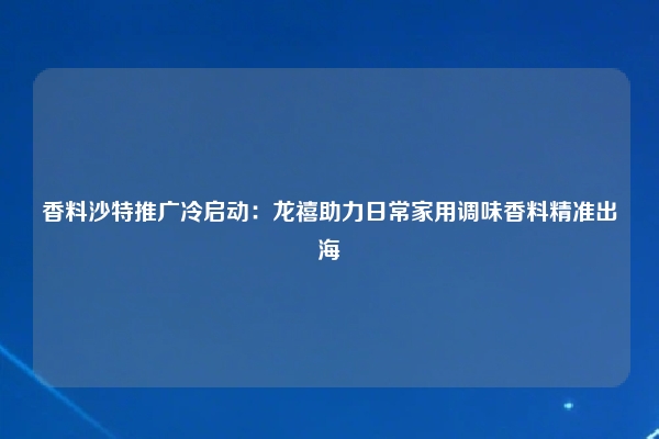 香料沙特推广冷启动：龙禧助力日常家用调味香料精准出海