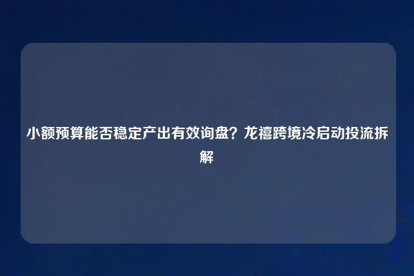 小额预算能否稳定产出有效询盘？龙禧跨境冷启动投流拆解