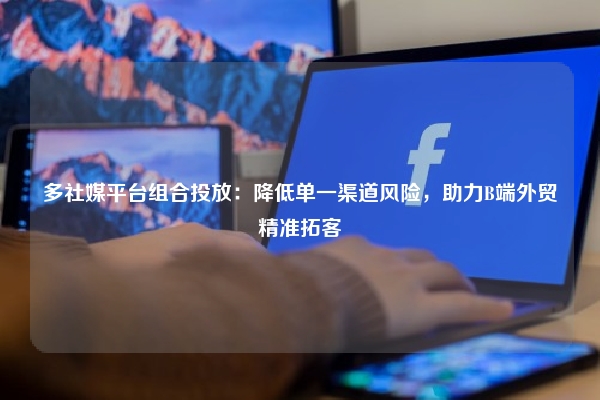 多社媒平台组合投放：降低单一渠道风险，助力B端外贸精准拓客