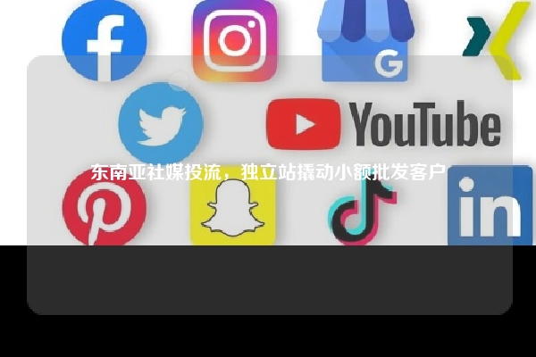 东南亚社媒投流，独立站撬动小额批发客户
