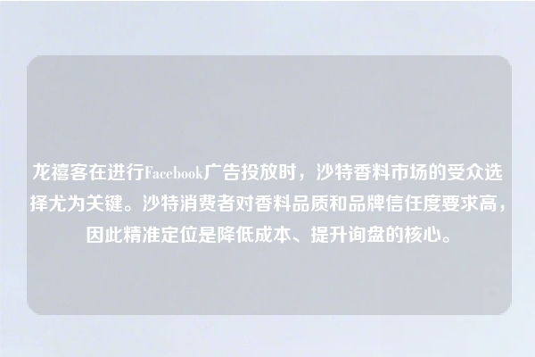 龙禧客在进行Facebook广告投放时，沙特香料市场的受众选择尤为关键。沙特消费者对香料品质和品牌信任度要求高，因此精准定位是降低成本、提升询盘的核心。
